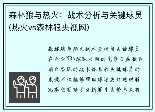 森林狼与热火：战术分析与关键球员(热火vs森林狼央视网)