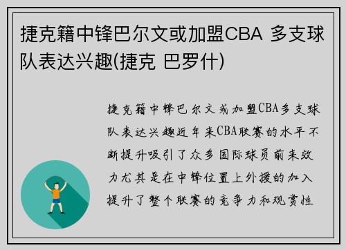 捷克籍中锋巴尔文或加盟CBA 多支球队表达兴趣(捷克 巴罗什)