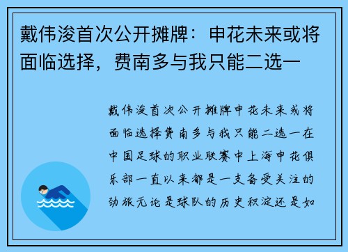 戴伟浚首次公开摊牌：申花未来或将面临选择，费南多与我只能二选一